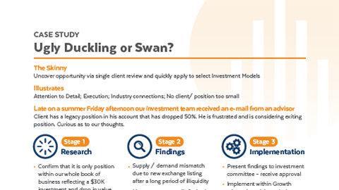JSMT Media Web Design & Digital Marketing | UGLY DUCKLING OR SWAN?